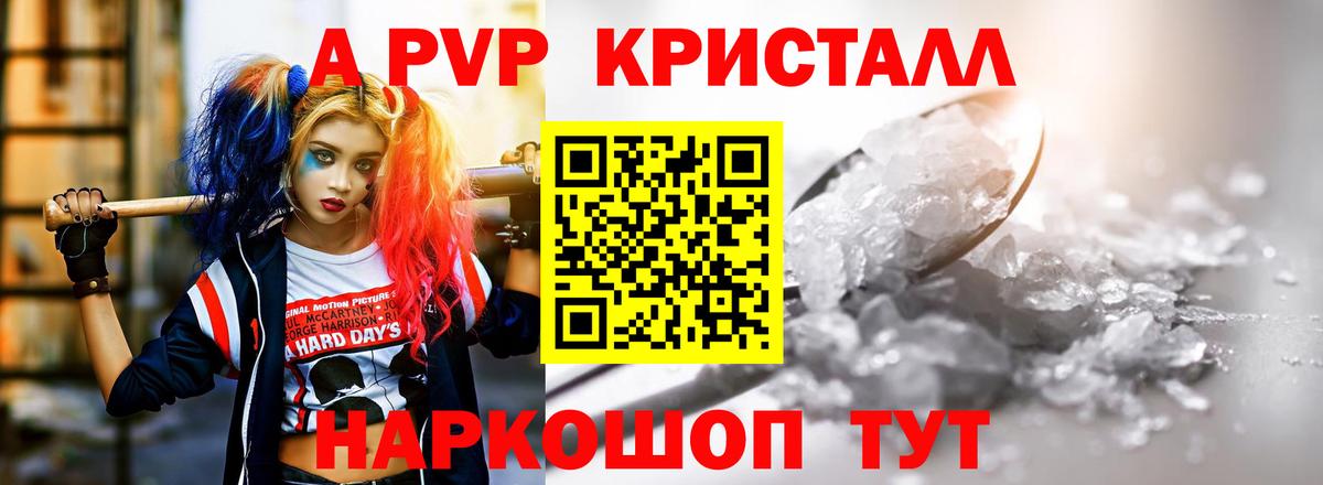 А ПВП СК  закладка  Майкоп  Вход с VPN 