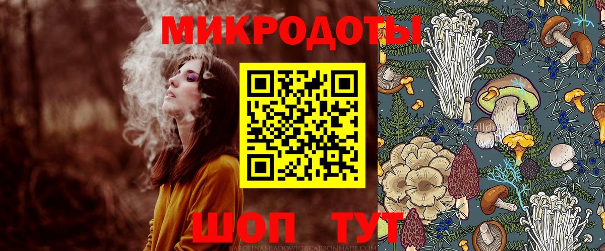 Псилоцибиновые грибы мицелий Майкоп