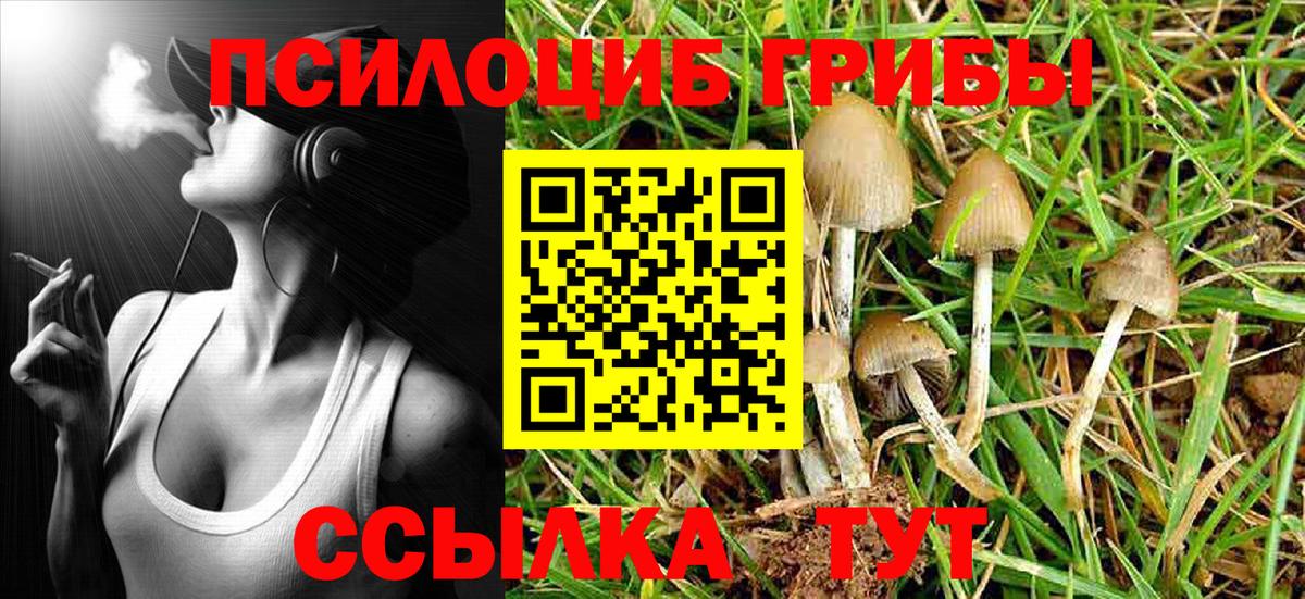 Майкоп  Галлюциногенные грибы Psilocybe  Галлюциногенные грибы ЛСД  Вход с VPN 